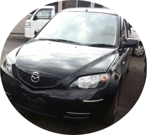 �ǥߥ���ʡ���������Ѽְ����