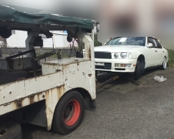 ʿ��11ǯ�������ɥ�å����ּ�ξ