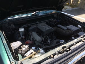 �ѥ������ߥˡ����󥸥�롼��