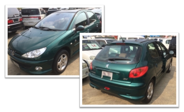 ʿ��17ǯ�����ץ��硼206