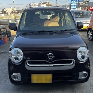 �����ϥ� �ߥ饳�����ָ�ͭ�ꡢ������