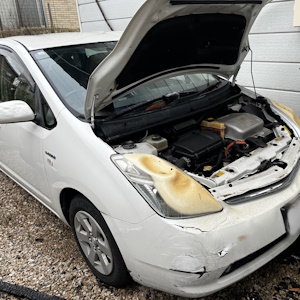 �ȥ西 �ץꥦ����ξ�кҡ���������