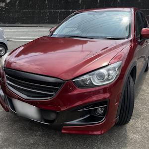�ޥĥ� CX-5�ָ�ͭ�ꡢ������